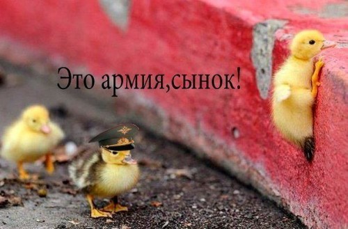 z2.jpg