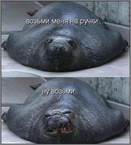 z9.jpg