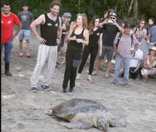 kl3.jpg (202.06 КБ) 2740 просмотров Джерри отмечает свое 50-летие в Коста-Рике выпуская морских черепах