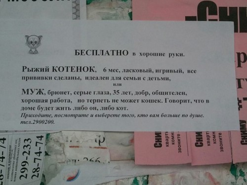 QqpL__ICViY.jpg