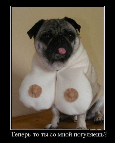 1327046608_demotivators_56[1].jpg